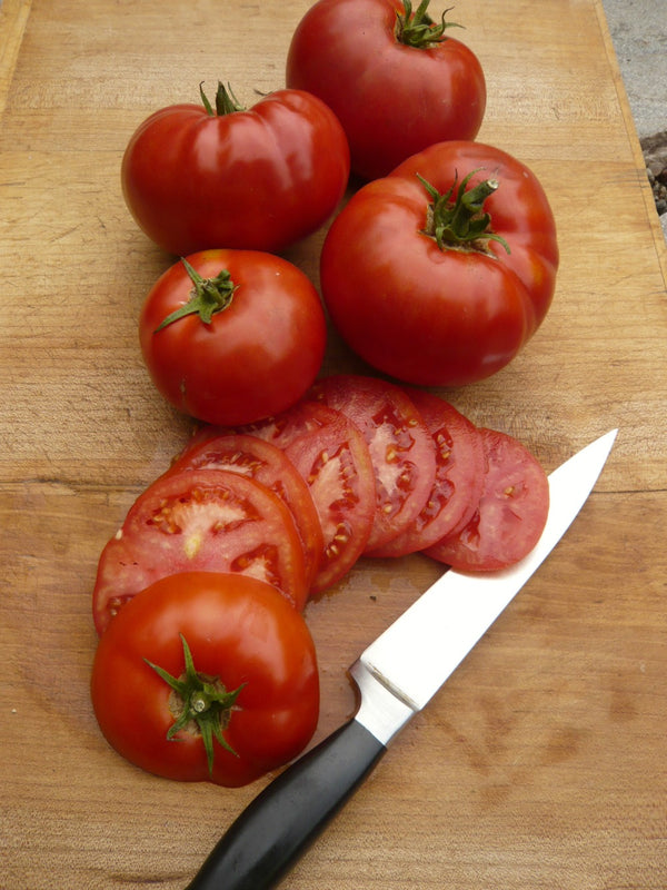 Tomato, 'Ruth's Perfect'