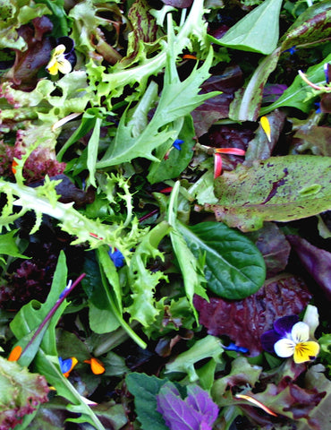 Lettuce, Salad, & Braising Mixes