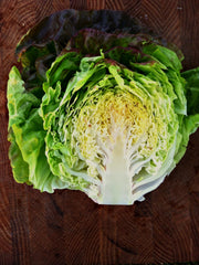 Load image into Gallery viewer, Lettuce, &#39;Scarlet Butter&#39;
