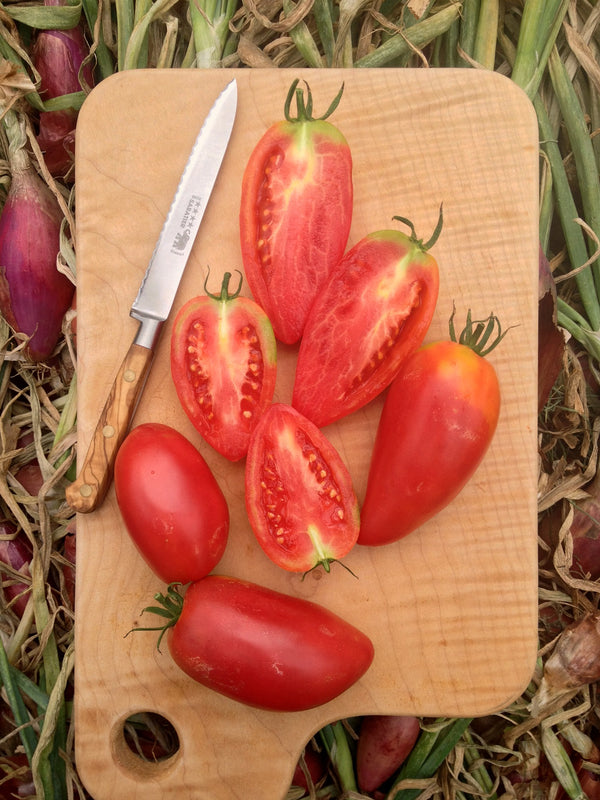 Tomato, 'Sheboygan'