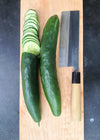Cucumber, 'Shintokiwa'