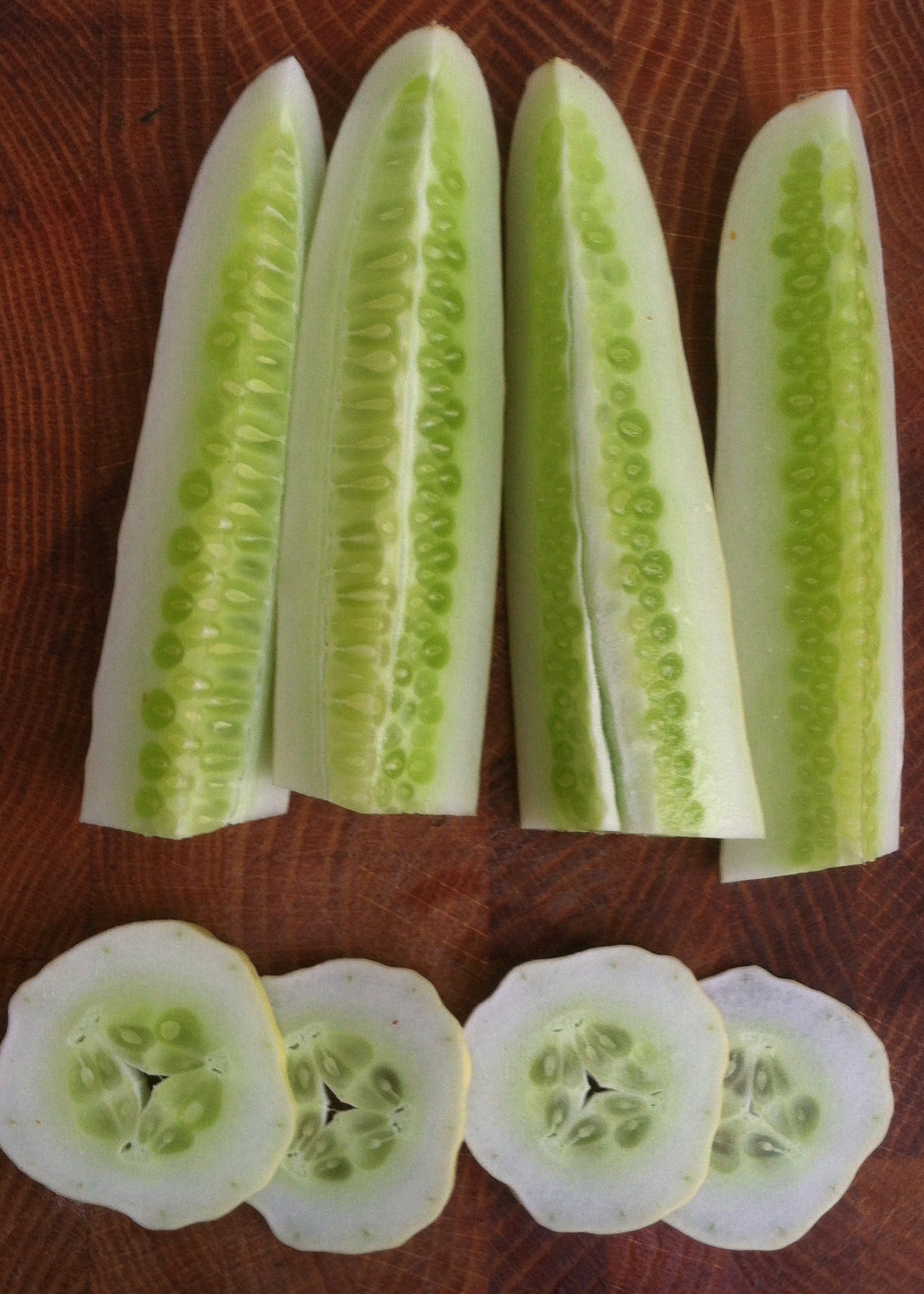 Silver Slicer Cucumber