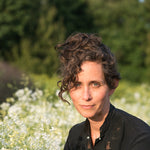 Load image into Gallery viewer, Larkspur, &#39;White Cloud&#39;
