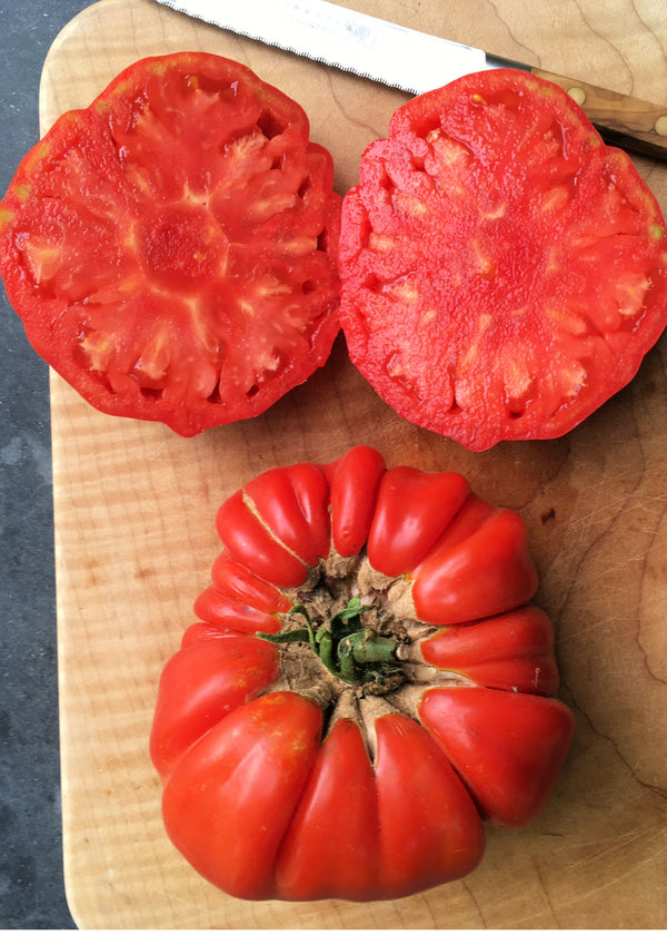 Tomato, 'Vernazza'