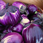 Load image into Gallery viewer, Eggplant, &#39;Violetta di Firenze&#39;
