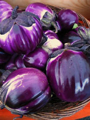 Load image into Gallery viewer, Eggplant, &#39;Violetta di Firenze&#39;
