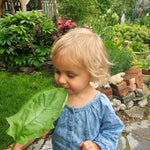 Load image into Gallery viewer, Spinach, &#39;Winter Giant&#39; (Gigante d&#39;Inverno)
