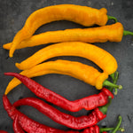 Load image into Gallery viewer, Sweet Pepper, &#39;Yellow Nardello&#39;
